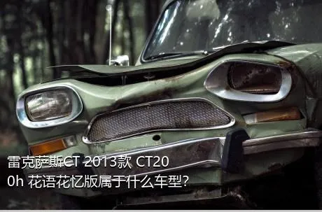 雷克萨斯CT 2013款 CT200h 花语花忆版属于什么车型？