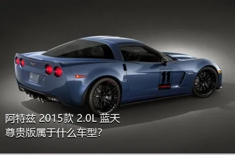 阿特兹 2015款 2.0L 蓝天尊贵版属于什么车型？