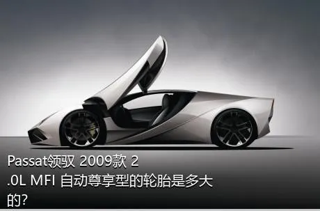 Passat领驭 2009款 2.0L MFI 自动尊享型的轮胎是多大的？