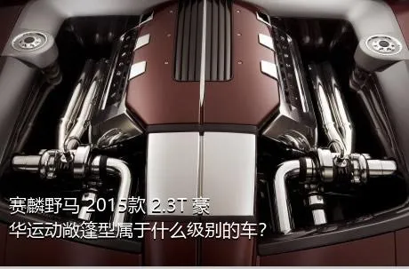 赛麟野马 2015款 2.3T 豪华运动敞篷型属于什么级别的车？