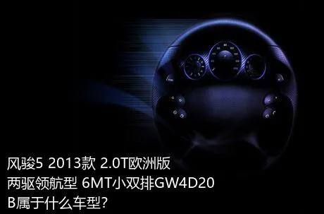 风骏5 2013款 2.0T欧洲版 两驱领航型 6MT小双排GW4D20B属于什么车型？