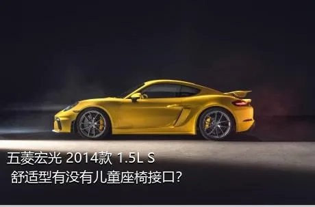 五菱宏光 2014款 1.5L S 舒适型有没有儿童座椅接口？