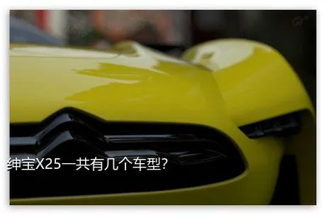 绅宝X25一共有几个车型？