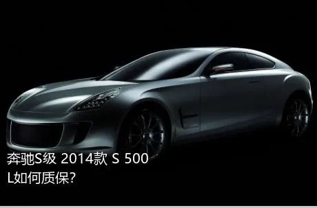 奔驰S级 2014款 S 500 L如何质保？