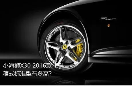 小海狮X30 2016款 1.3L箱式标准型有多高？