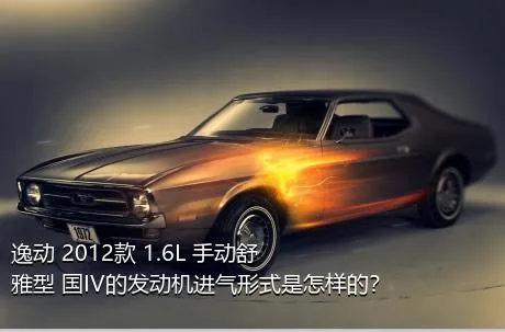 逸动 2012款 1.6L 手动舒雅型 国IV的发动机进气形式是怎样的？