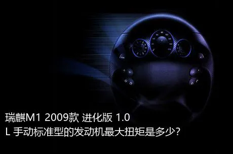 瑞麒M1 2009款 进化版 1.0L 手动标准型的发动机最大扭矩是多少？