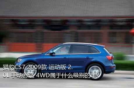 猎豹CS7 2009款 运动版 2.0L 手动舒适 4WD属于什么级别的车？