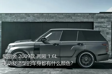 爱丽舍 2009款 两厢 1.6L 手动舒适型的车身都有什么颜色？