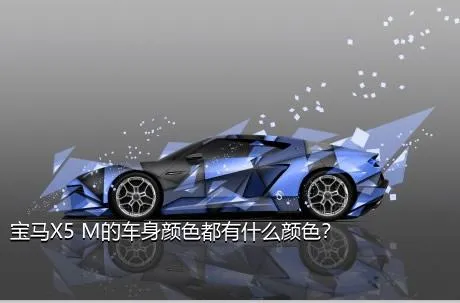 宝马X5 M的车身颜色都有什么颜色？