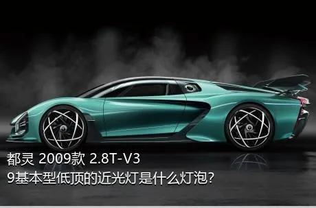 都灵 2009款 2.8T-V39基本型低顶的近光灯是什么灯泡？