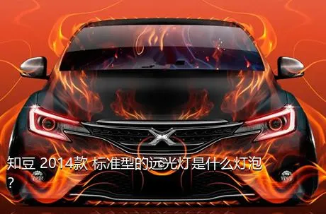 知豆 2014款 标准型的远光灯是什么灯泡？