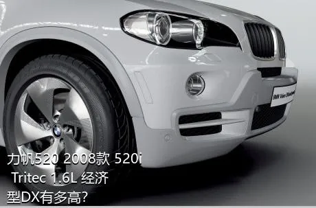 力帆520 2008款 520i Tritec 1.6L 经济型DX有多高？