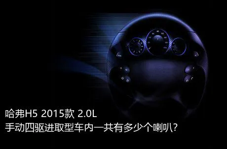 哈弗H5 2015款 2.0L 手动四驱进取型车内一共有多少个喇叭？