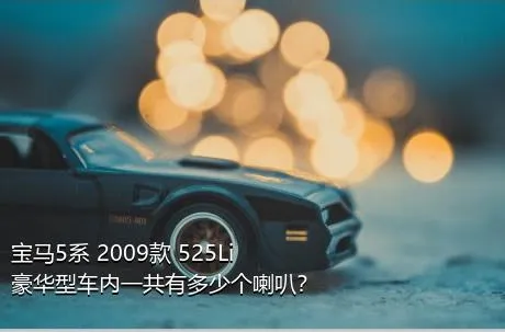 宝马5系 2009款 525Li 豪华型车内一共有多少个喇叭？