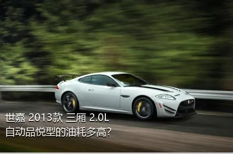 世嘉 2013款 三厢 2.0L 自动品悦型的油耗多高？