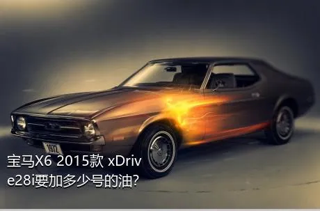 宝马X6 2015款 xDrive28i要加多少号的油？