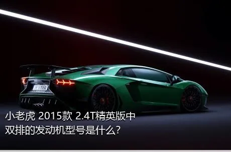 小老虎 2015款 2.4T精英版中双排的发动机型号是什么？