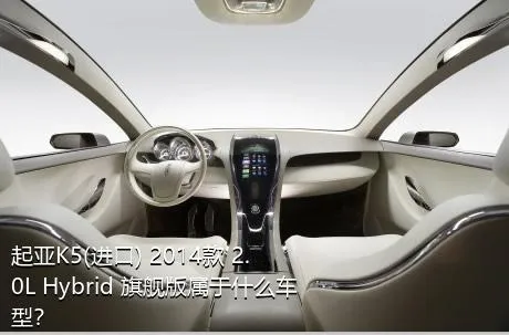 起亚K5(进口) 2014款 2.0L Hybrid 旗舰版属于什么车型？