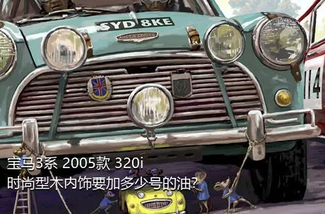 宝马3系 2005款 320i 时尚型木内饰要加多少号的油？