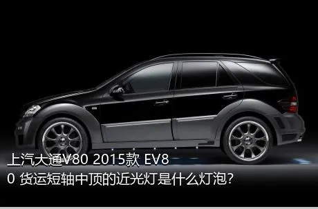 上汽大通V80 2015款 EV80 货运短轴中顶的近光灯是什么灯泡？