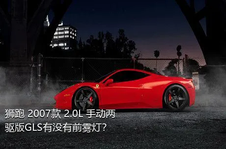 狮跑 2007款 2.0L 手动两驱版GLS有没有前雾灯？