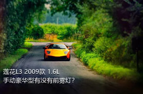 莲花L3 2009款 1.6L 手动豪华型有没有前雾灯？