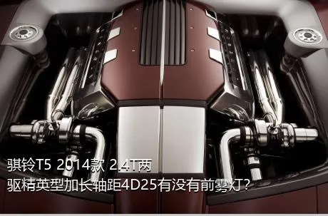 骐铃T5 2014款 2.4T两驱精英型加长轴距4D25有没有前雾灯？