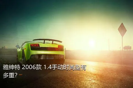 雅绅特 2006款 1.4手动时尚型有多重？