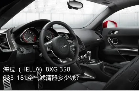 海拉（HELLA）8XG 358 033-181空气滤清器多少钱？