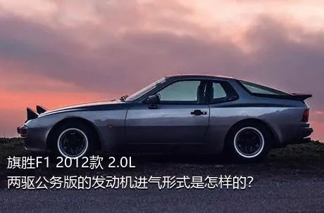 旗胜F1 2012款 2.0L 两驱公务版的发动机进气形式是怎样的？