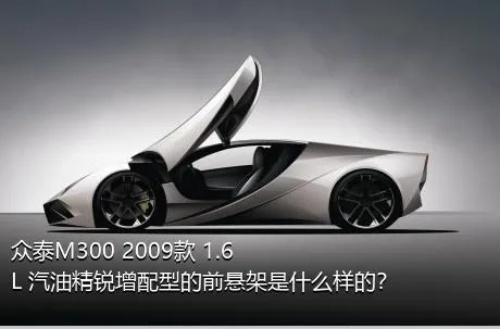 众泰M300 2009款 1.6L 汽油精锐增配型的前悬架是什么样的？