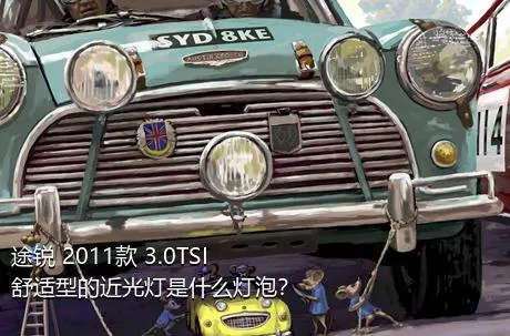 途锐 2011款 3.0TSI 舒适型的近光灯是什么灯泡？