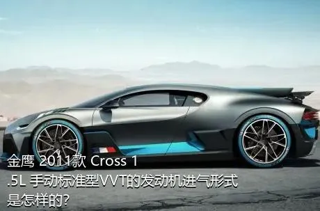 金鹰 2011款 Cross 1.5L 手动标准型VVT的发动机进气形式是怎样的？