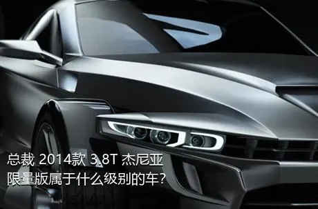 总裁 2014款 3.8T 杰尼亚限量版属于什么级别的车？