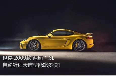 世嘉 2009款 两厢 1.6L 自动舒适天窗型能跑多快？