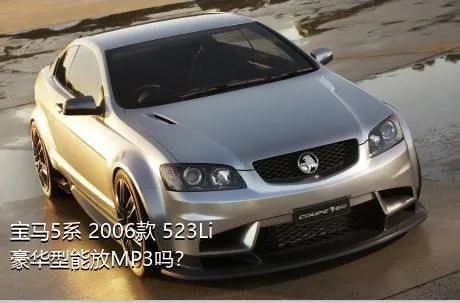 宝马5系 2006款 523Li 豪华型能放MP3吗？