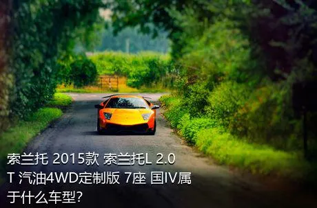 索兰托 2015款 索兰托L 2.0T 汽油4WD定制版 7座 国IV属于什么车型？