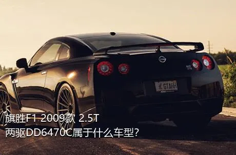 旗胜F1 2009款 2.5T 两驱DD6470C属于什么车型？