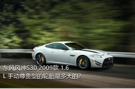 东风风神S30 2009款 1.6L 手动尊贵型的轮胎是多大的？