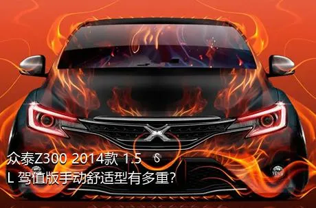 众泰Z300 2014款 1.5L 驾值版手动舒适型有多重？