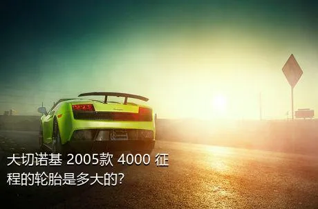 大切诺基 2005款 4000 征程的轮胎是多大的？