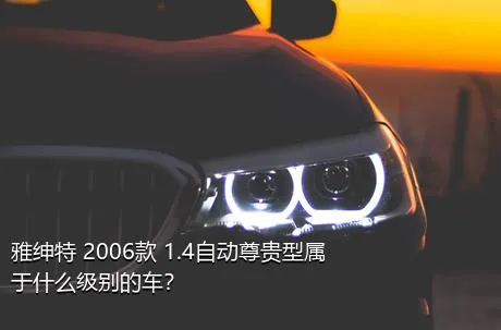 雅绅特 2006款 1.4自动尊贵型属于什么级别的车？