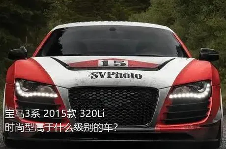 宝马3系 2015款 320Li 时尚型属于什么级别的车？