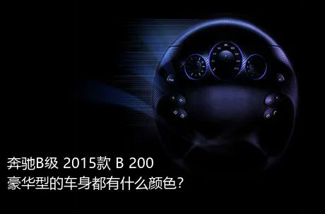 奔驰B级 2015款 B 200 豪华型的车身都有什么颜色？