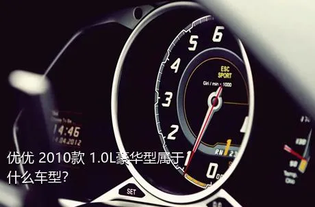 优优 2010款 1.0L豪华型属于什么车型？