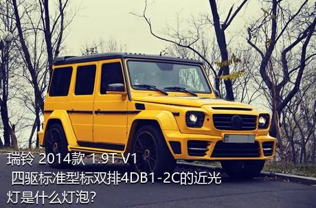 瑞铃 2014款 1.9T V1 四驱标准型标双排4DB1-2C的近光灯是什么灯泡？