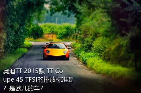 奥迪TT 2015款 TT Coupe 45 TFSI的排放标准是？是欧几的车？