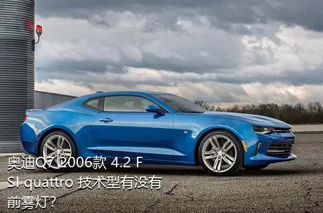 奥迪Q7 2006款 4.2 FSI quattro 技术型有没有前雾灯？