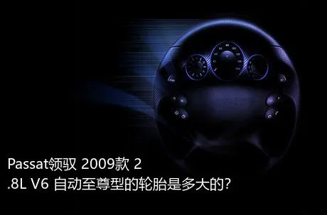 Passat领驭 2009款 2.8L V6 自动至尊型的轮胎是多大的？